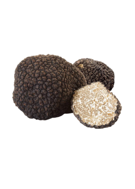 tuscany truffle vendita tartufi online - tartufo nero scorzone