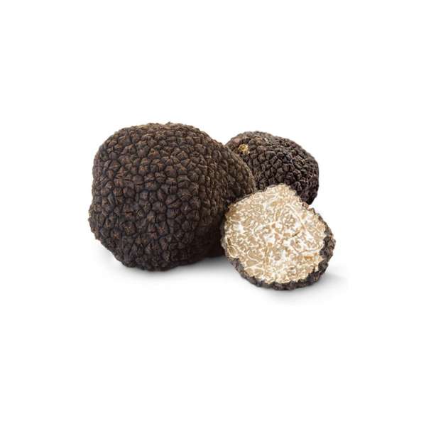 tuscany truffle vendita tartufi online - tartufo nero scorzone