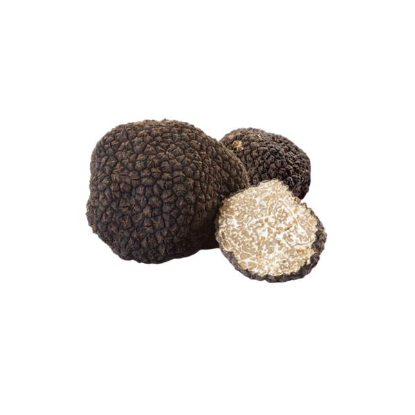 tuscany truffle vendita tartufi online - tartufo nero scorzone