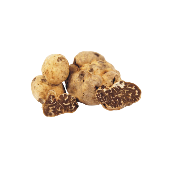 tuscany truffle vendita tartufi online - tartufo bianchetto marzuolo
