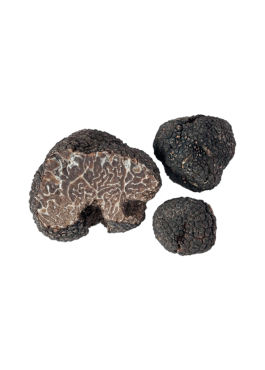 tuscany truffle vendita-tartufi online - tartufo nero invernale