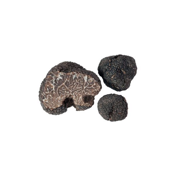 tuscany truffle vendita-tartufi online - tartufo nero invernale