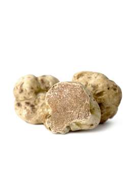 tuscany truffle vendita-tartufi online - tartufo bianco pregiato