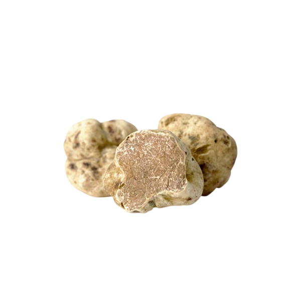 tuscany truffle vendita-tartufi online - tartufo bianco pregiato