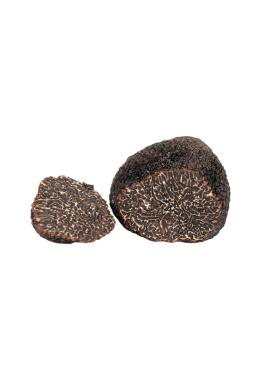 tuscany truffle vendita-tartufi online - tartufo nero pregiato