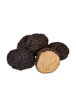 tuscany truffle vendita tartufi online - tartufo nero estivo