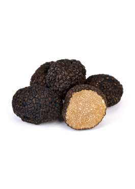tuscany truffle vendita tartufi online - tartufo nero uncinato